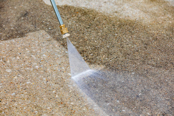 Best Animal Enclosure Cleaning  in Lavalette, WV