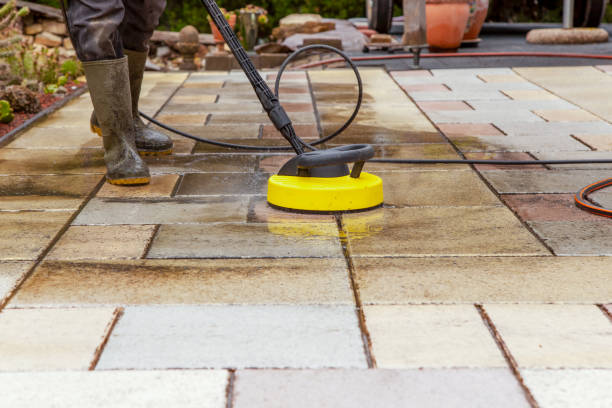 Best House Exterior Washing  in Lavalette, WV